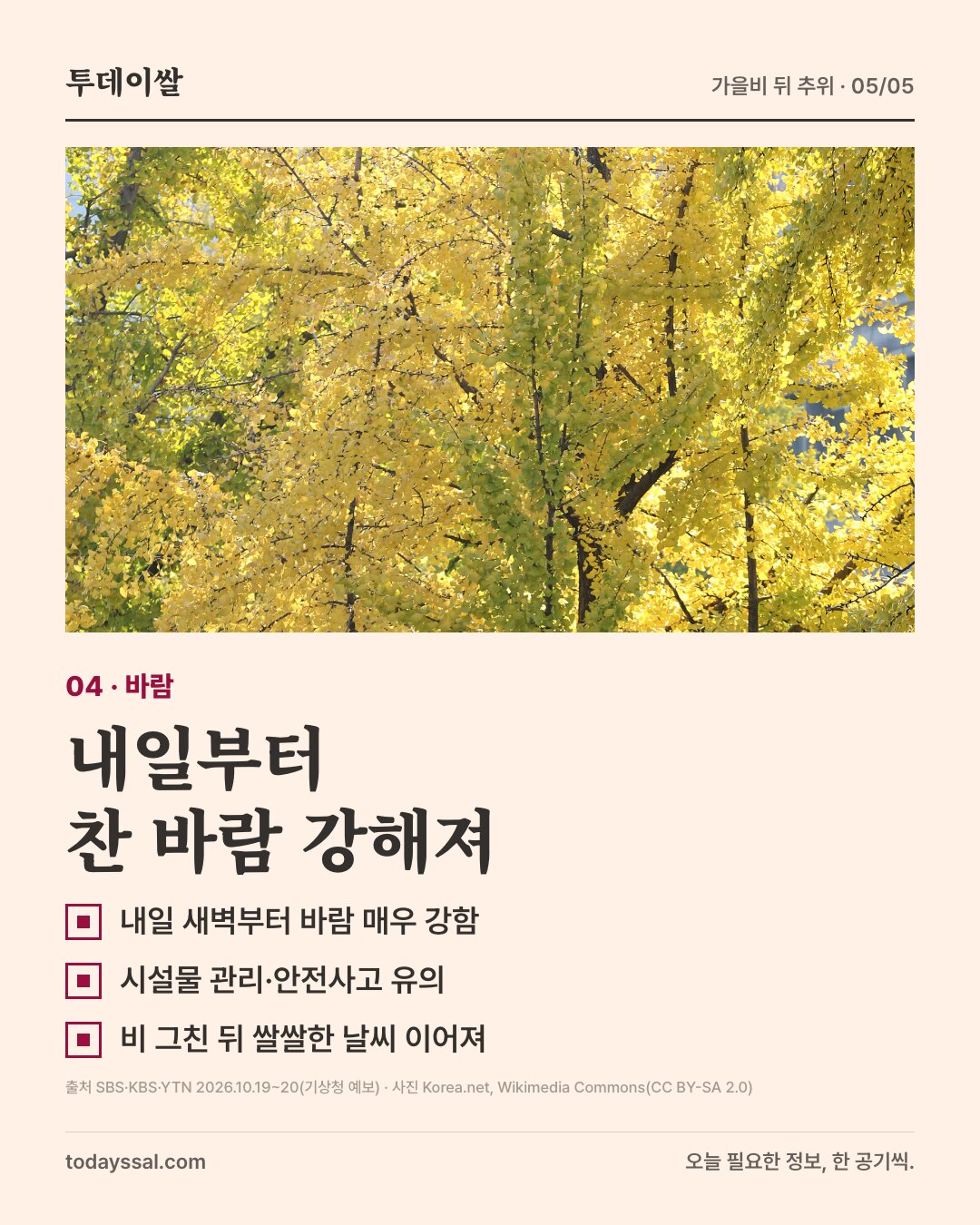 04 바람. 은행나무 사진. 내일부터 찬 바람 강해져. 내일 새벽부터 바람 매우 강함, 시설물 관리·안전사고 유의, 비 그친 뒤 쌀쌀한 날씨 이어져.