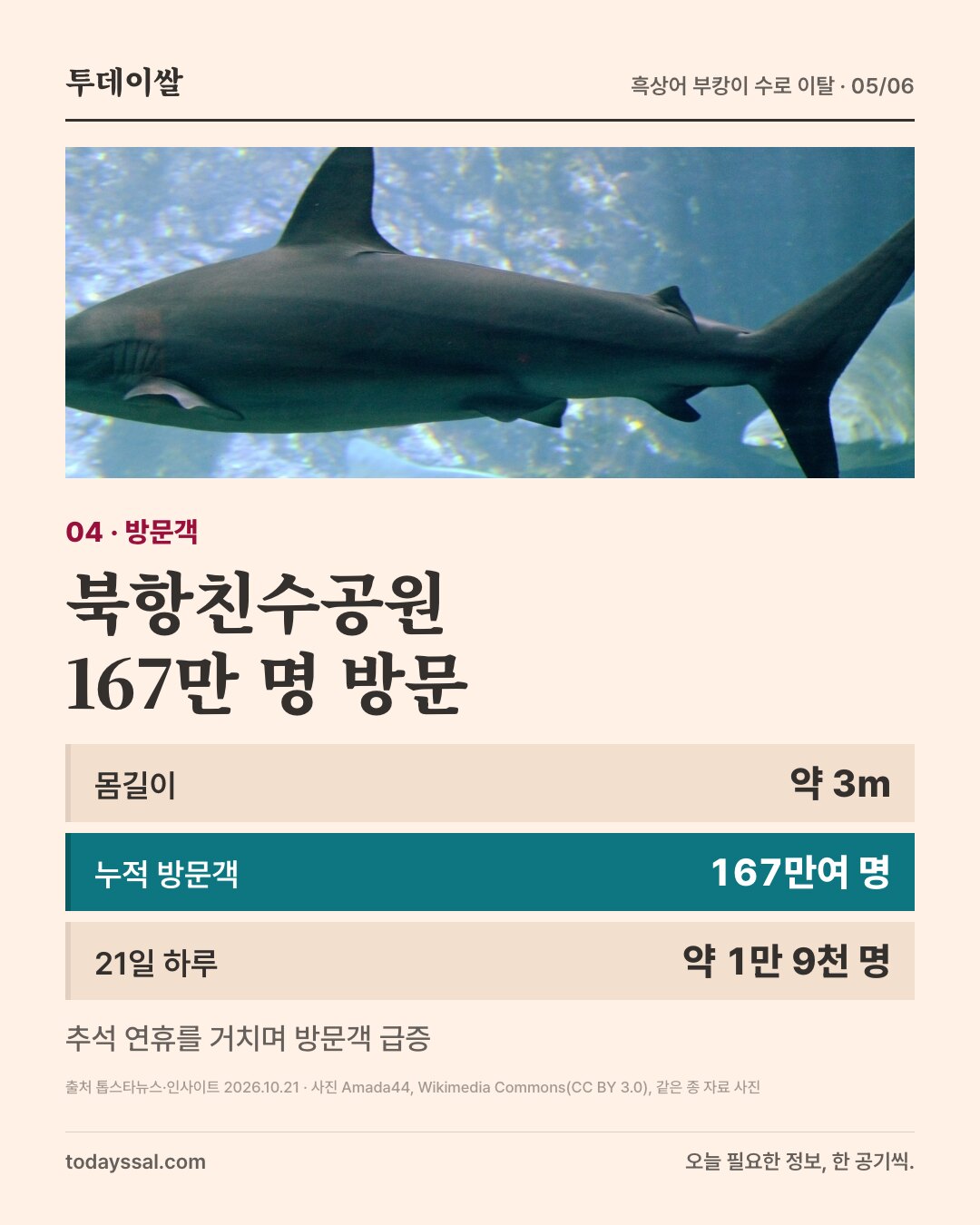 04 방문객. 수조 속 상어 사진. 북항친수공원 167만 명 방문. 몸길이 약 3미터, 누적 방문객 167만여 명, 21일 하루 약 1만 9천 명. 추석 연휴를 거치며 방문객 급증.