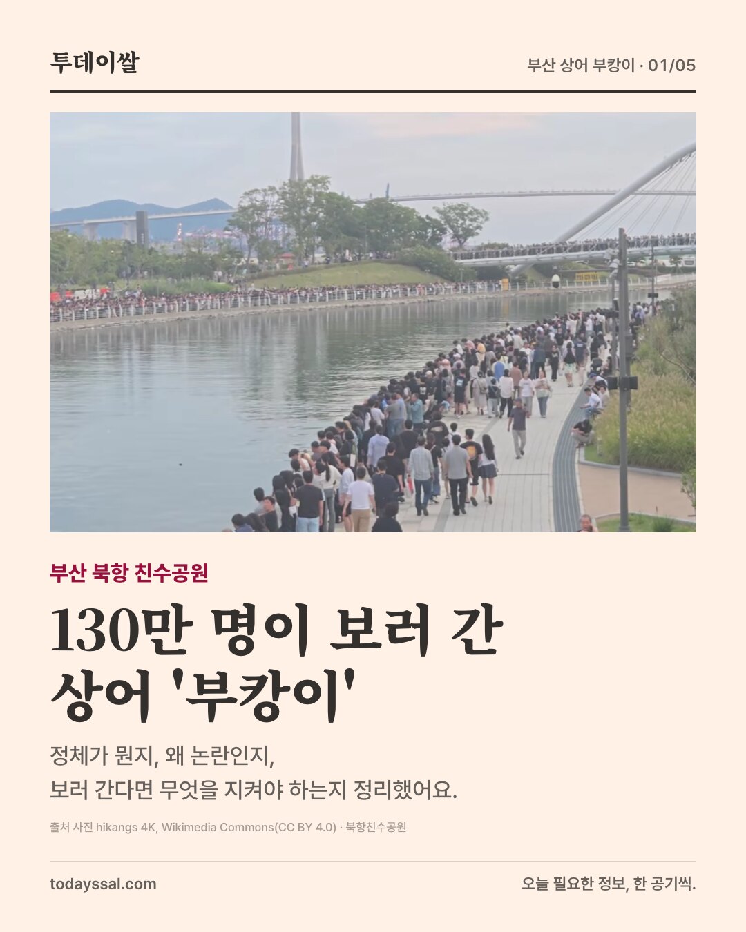 부산 북항 상어 '부캉이' 정체와 관람 수칙 (흑상어, 130만 명 방문)