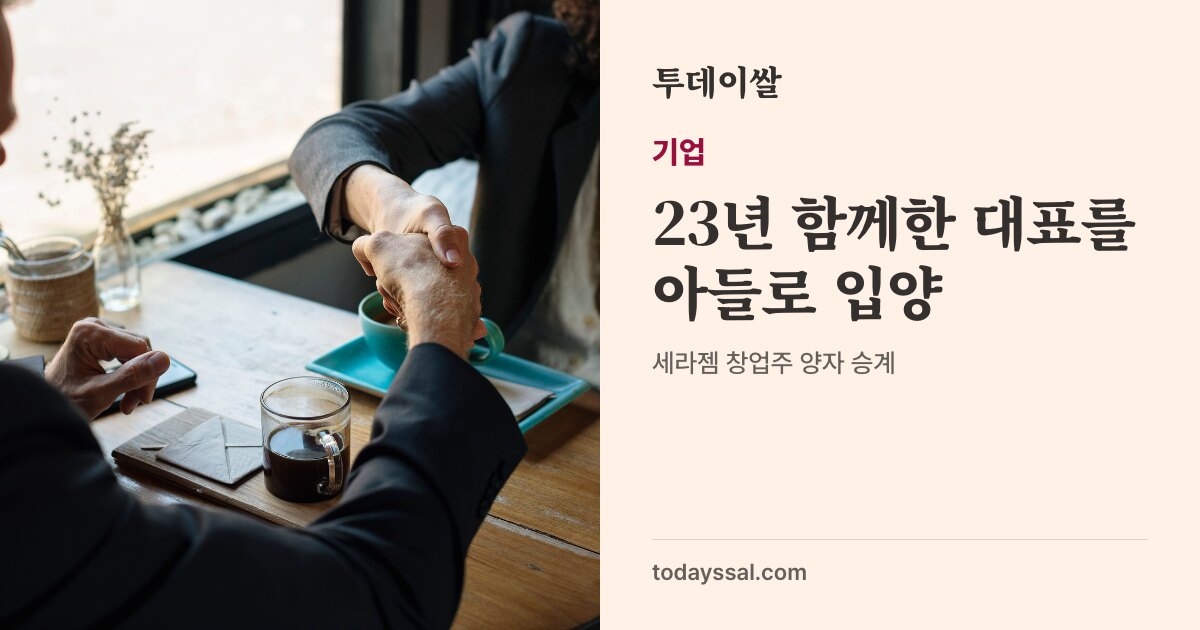 인왕산에서 본 서울 도심 사진. 기업, 23년 함께한 대표를 아들로 입양. 10월 20일 알려진 세라젬 창업주 승계