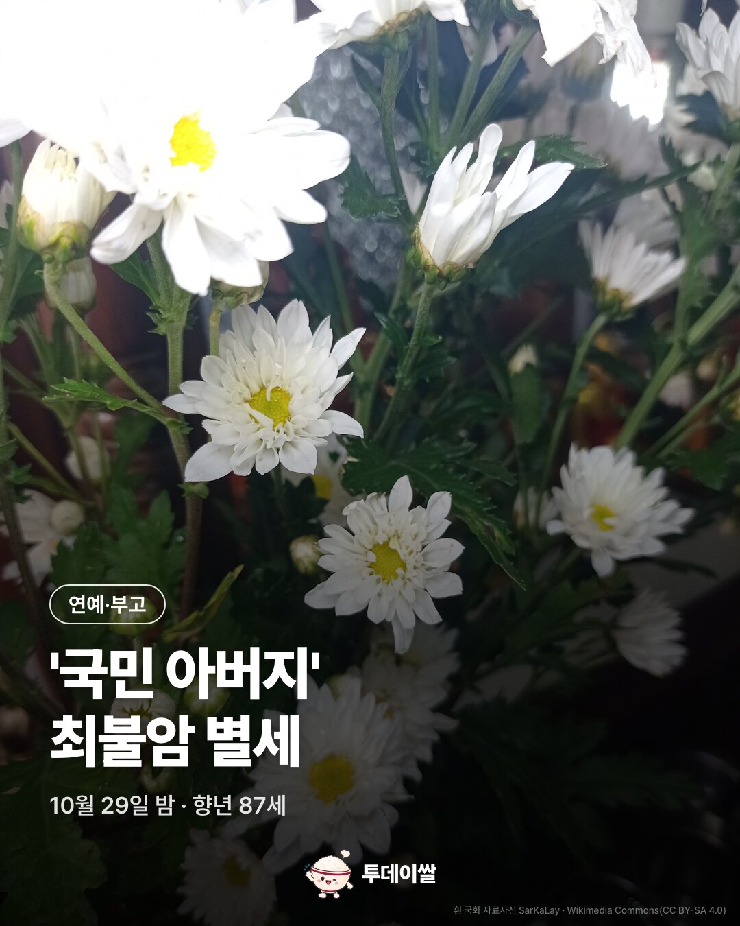 '국민 아버지' 배우 최불암 별세, 향년 87세