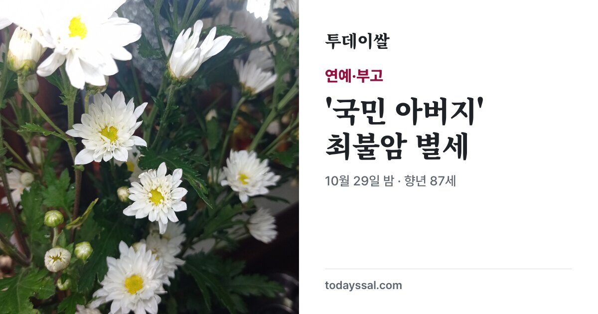 흰 국화 사진과 배우 최불암 별세 안내