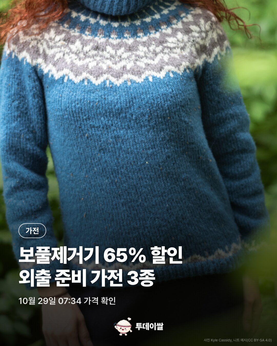 보풀제거기 65% 할인 외출 준비 가전 3종 및 가격 정보