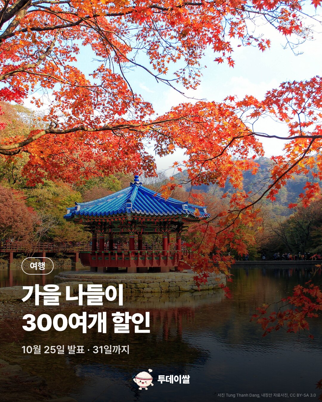 내장산 단풍 자료사진과 쿠팡 가을 나들이 상품 300여개 할인 소식