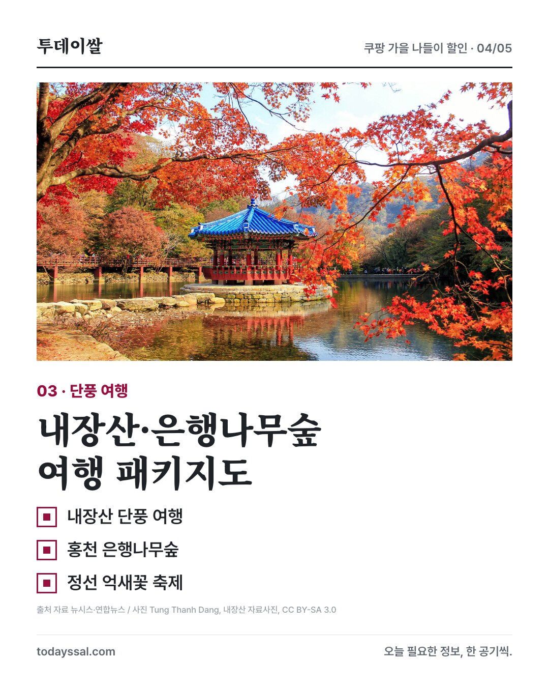 내장산 자료사진과 내장산·홍천 은행나무숲·정선 억새꽃 여행 패키지