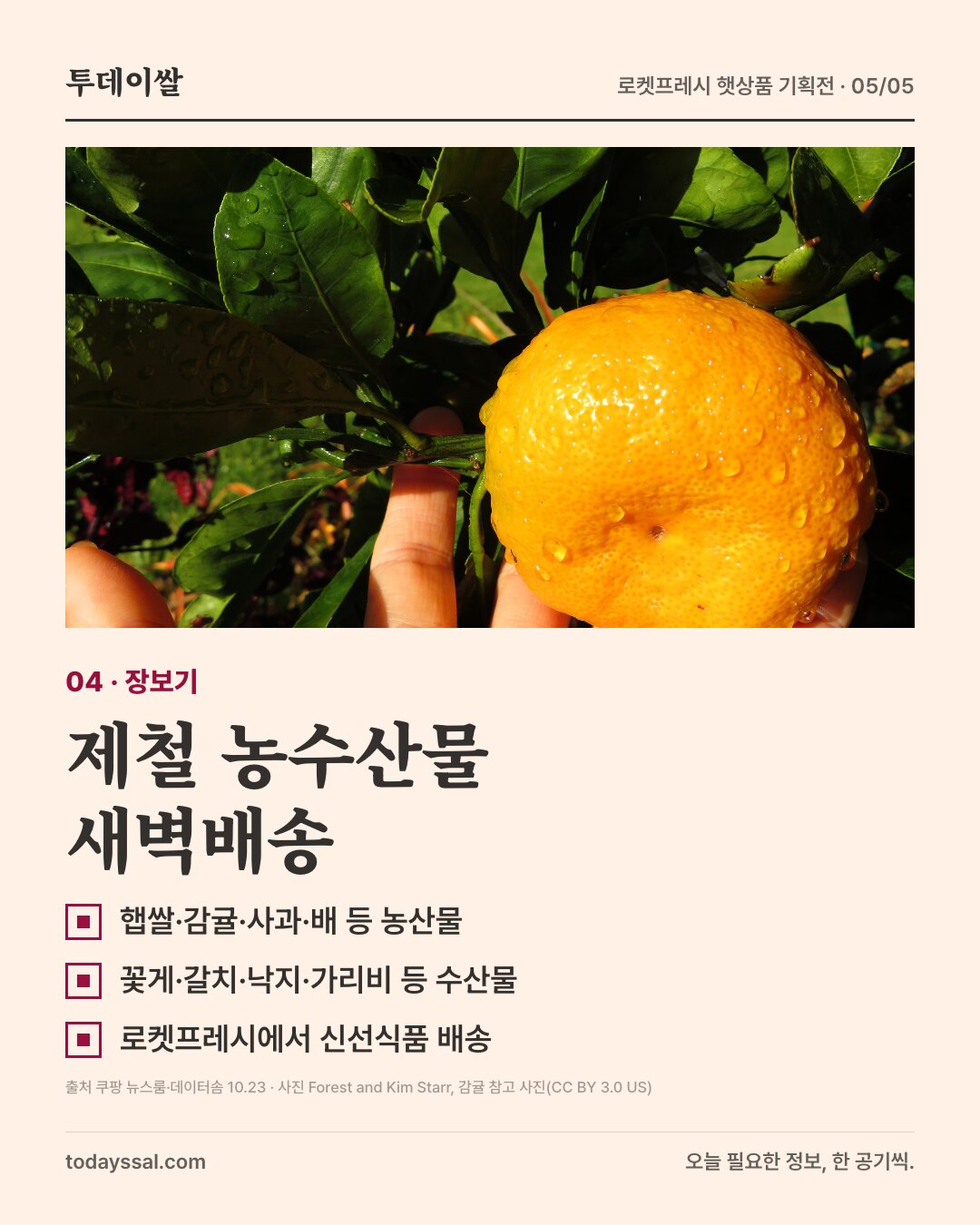 햅쌀·과일·수산물 등 로켓프레시 새벽배송