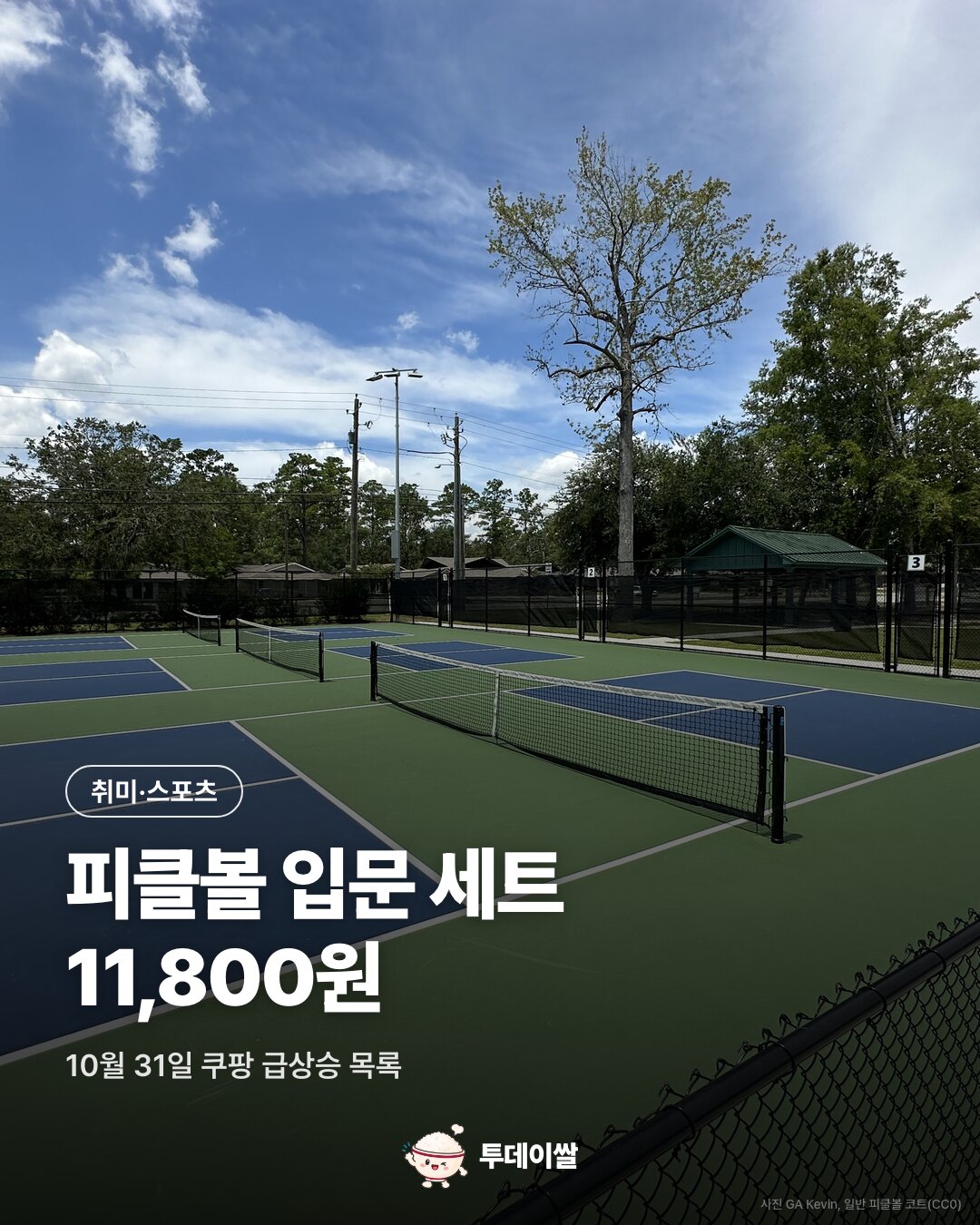 일반 피클볼 코트 사진과 입문 세트 확인 가격 11,800원