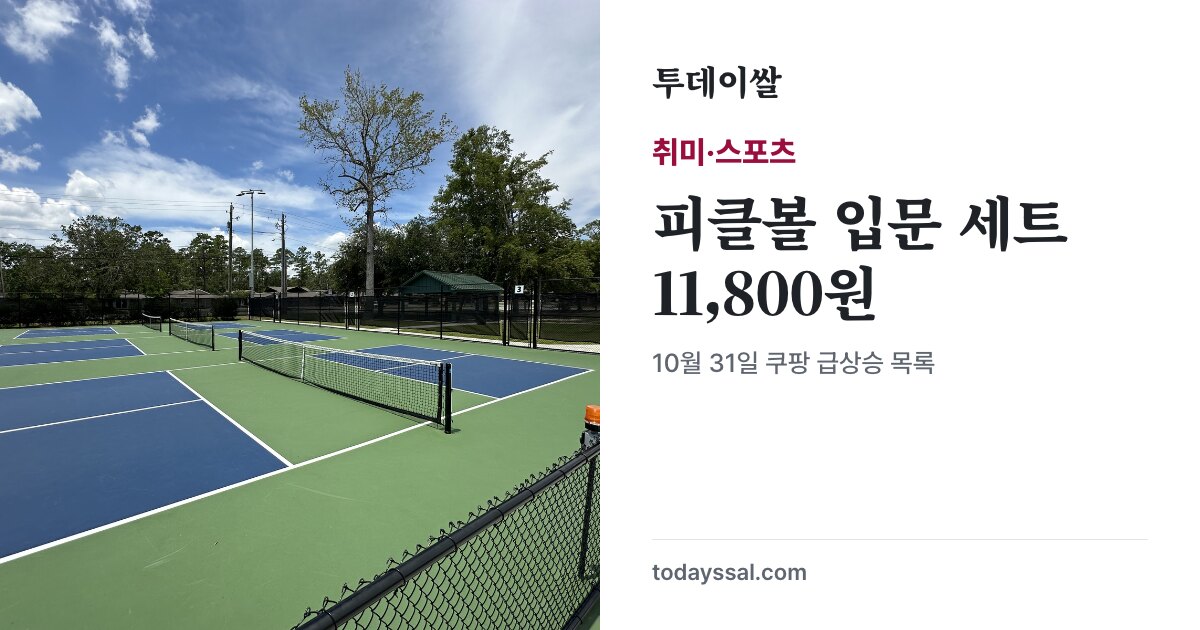 일반 피클볼 코트와 입문 세트 확인 가격 11,800원