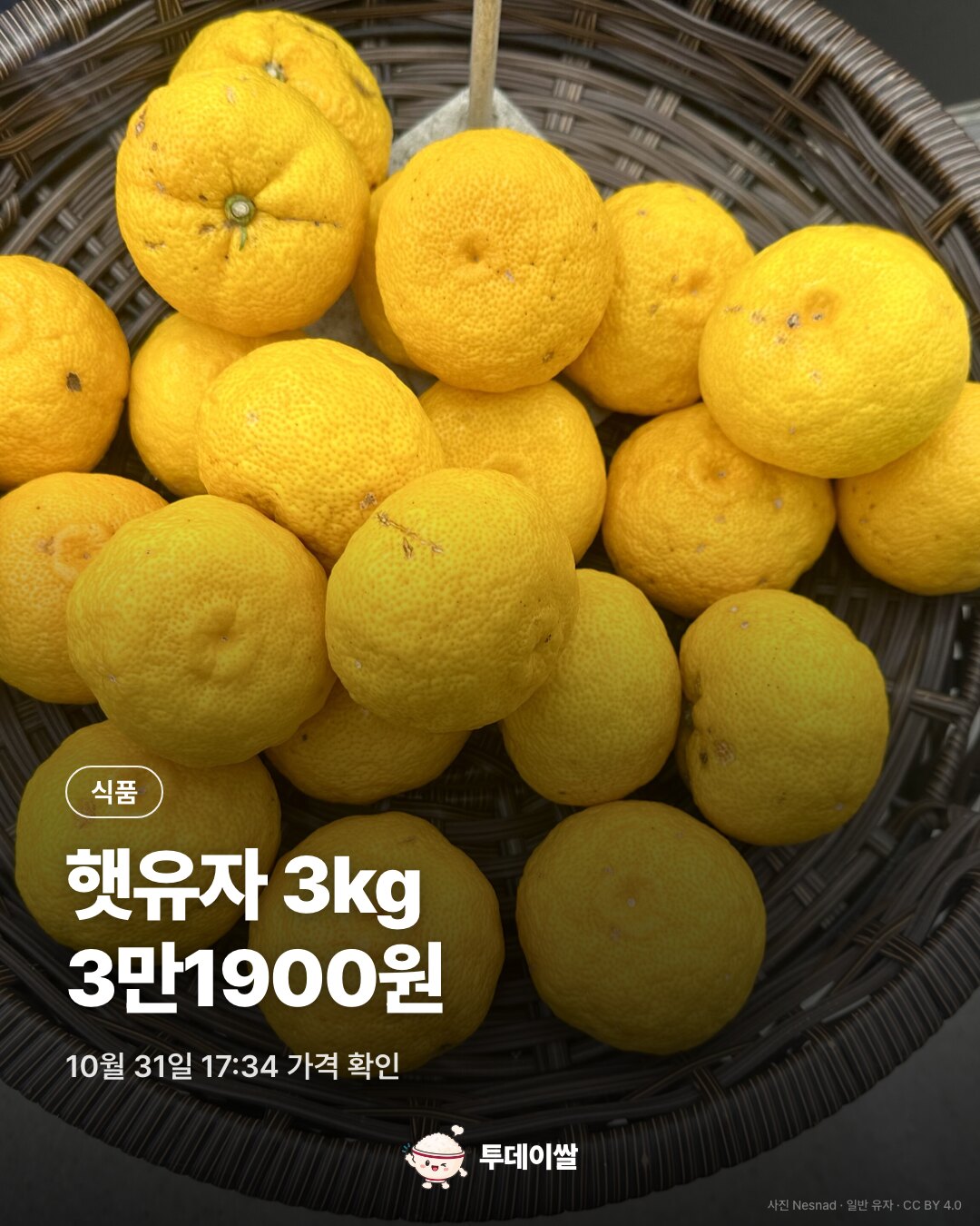 쿠팡 급상승 목록의 청 담그기용 햇유자 3kg 31,900원 쿠폰 적용가 28,900원