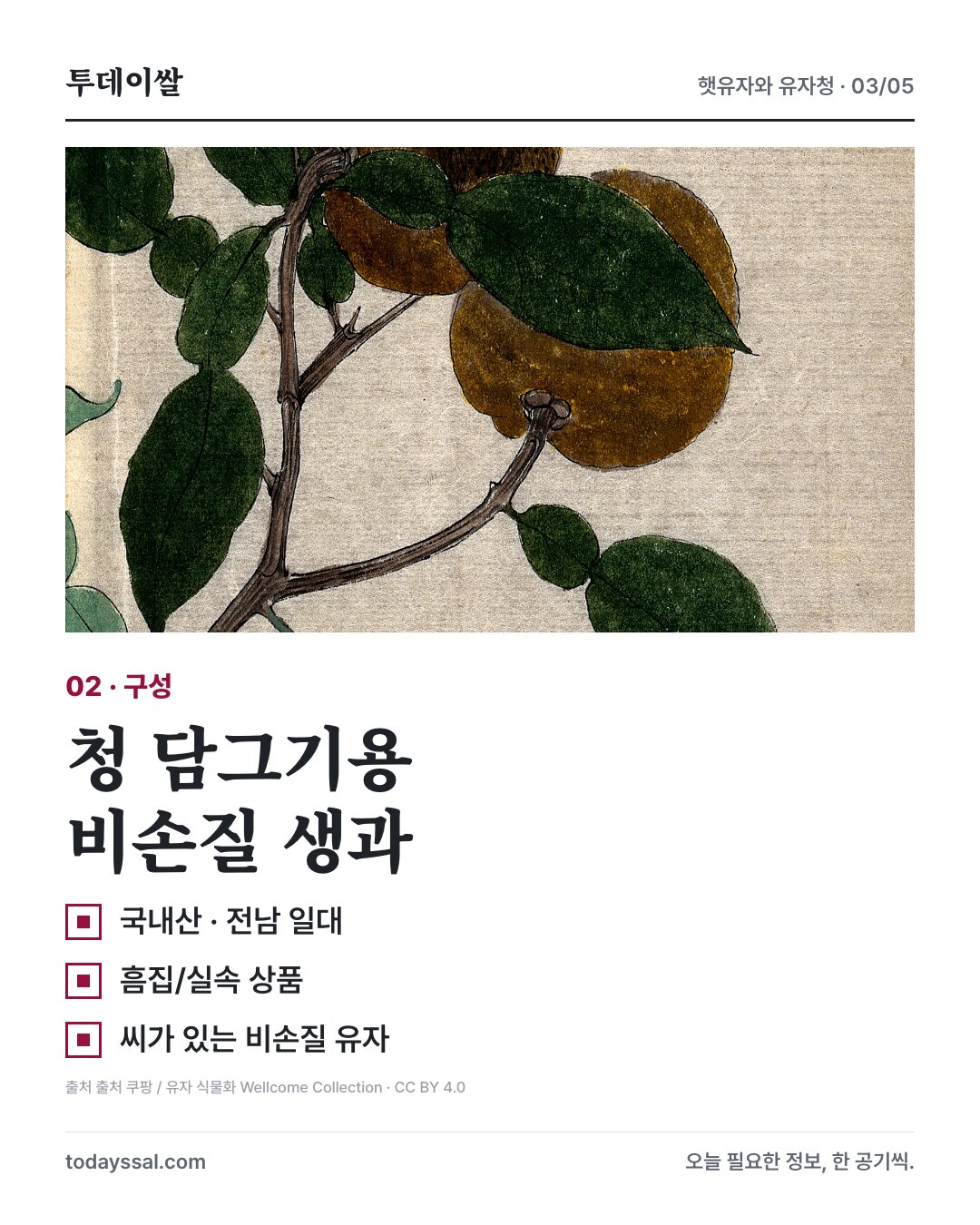 유자 식물화와 비손질 생과 구성
