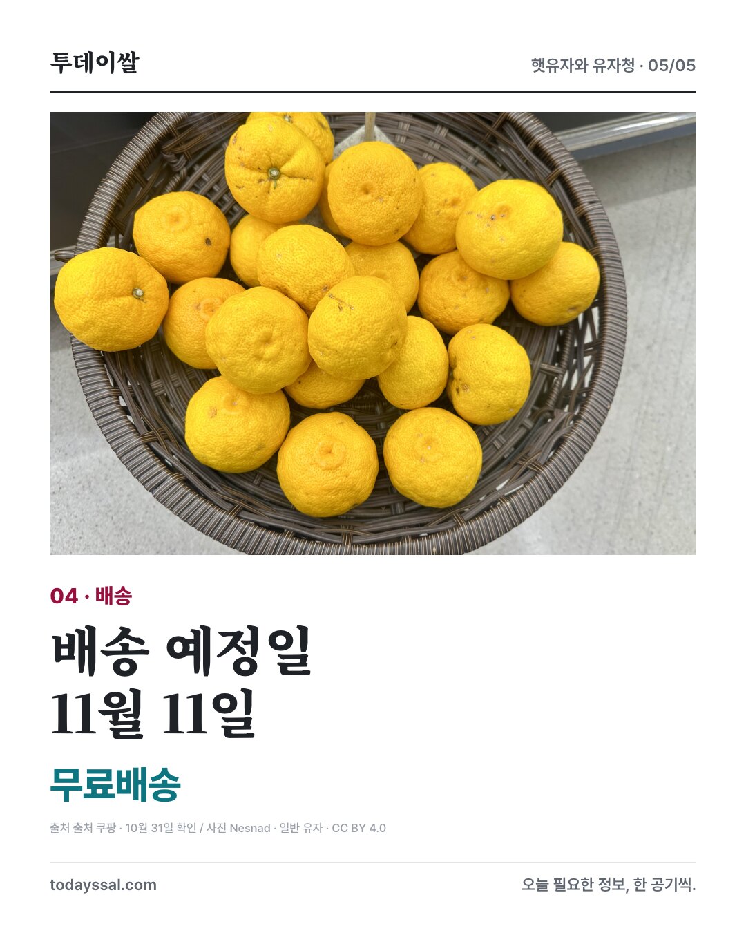 일반 유자 사진과 11월 11일 배송 예정 안내