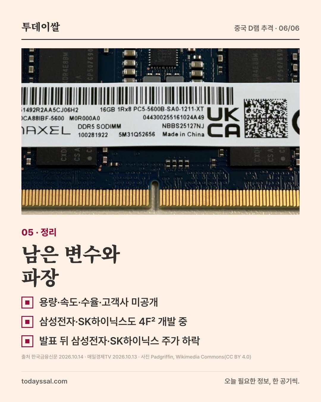 05 정리. 메모리 모듈 확대 사진. 남은 변수와 파장. 용량·속도·수율·고객사 미공개, 삼성전자·SK하이닉스도 4F² 개발 중, 발표 뒤 삼성전자·SK하이닉스 주가 하락.