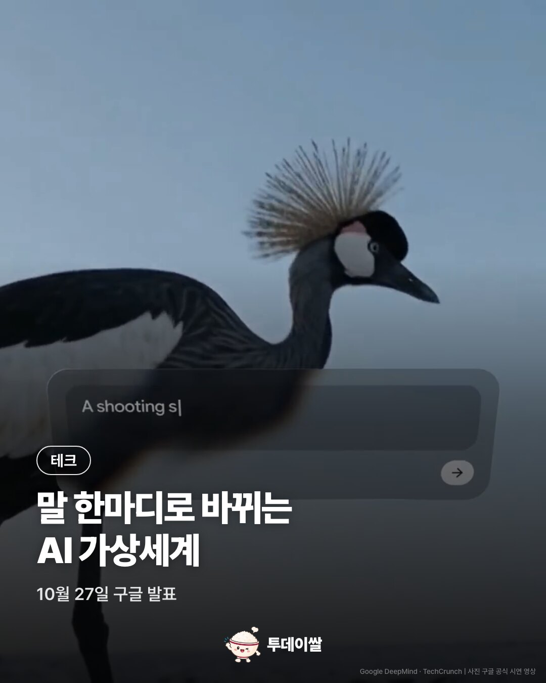 지니 4 가상세계 시연