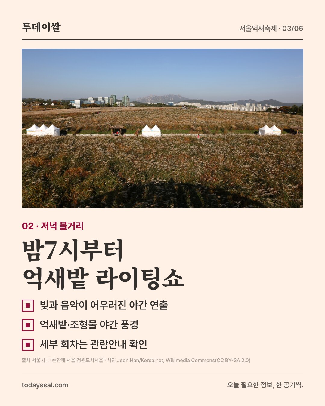 하늘공원 억새밭 전경. 밤7시부터 억새밭 라이팅쇼.