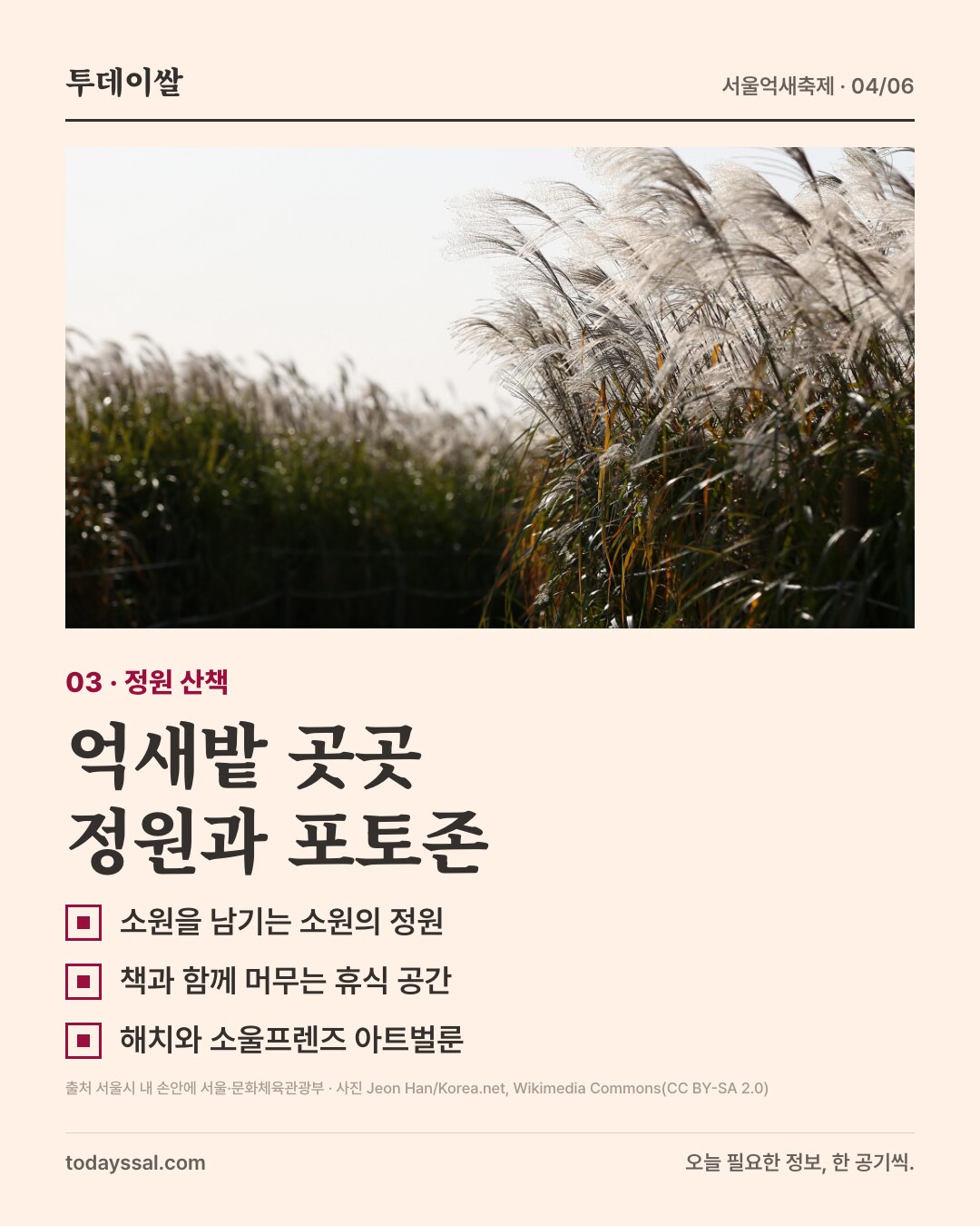하늘공원 억새. 정원과 포토존 산책 안내.