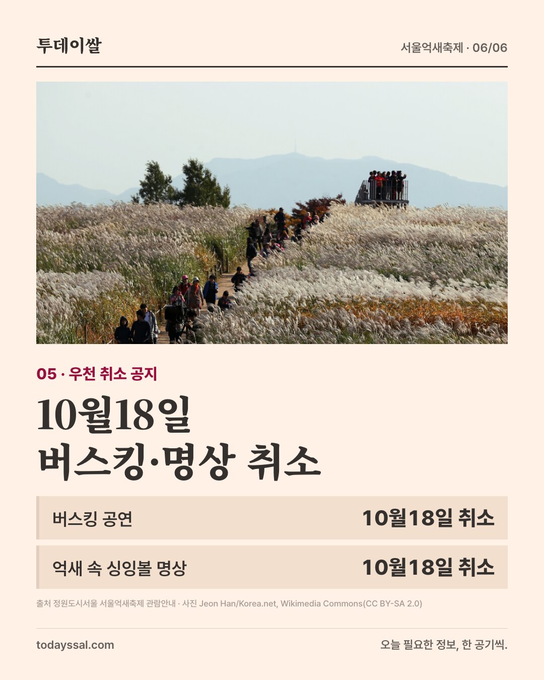 하늘공원 억새밭. 10월18일 버스킹과 싱잉볼 명상 우천 취소.