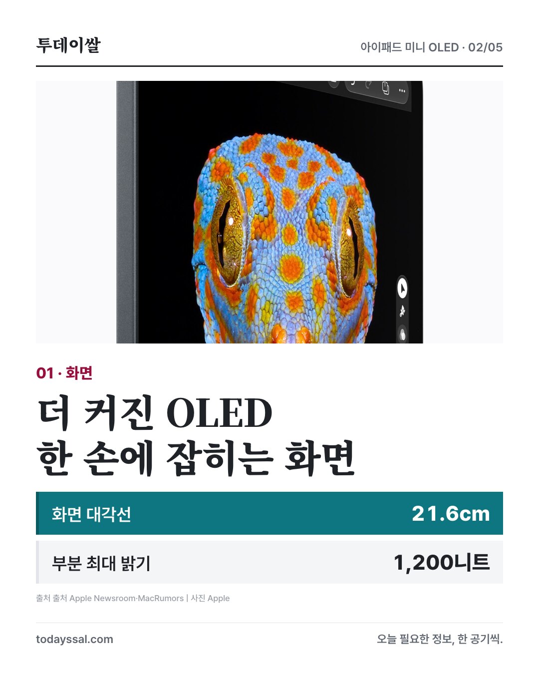 OLED 화면과 대각선 21.6cm, 부분 최대 밝기 1200니트