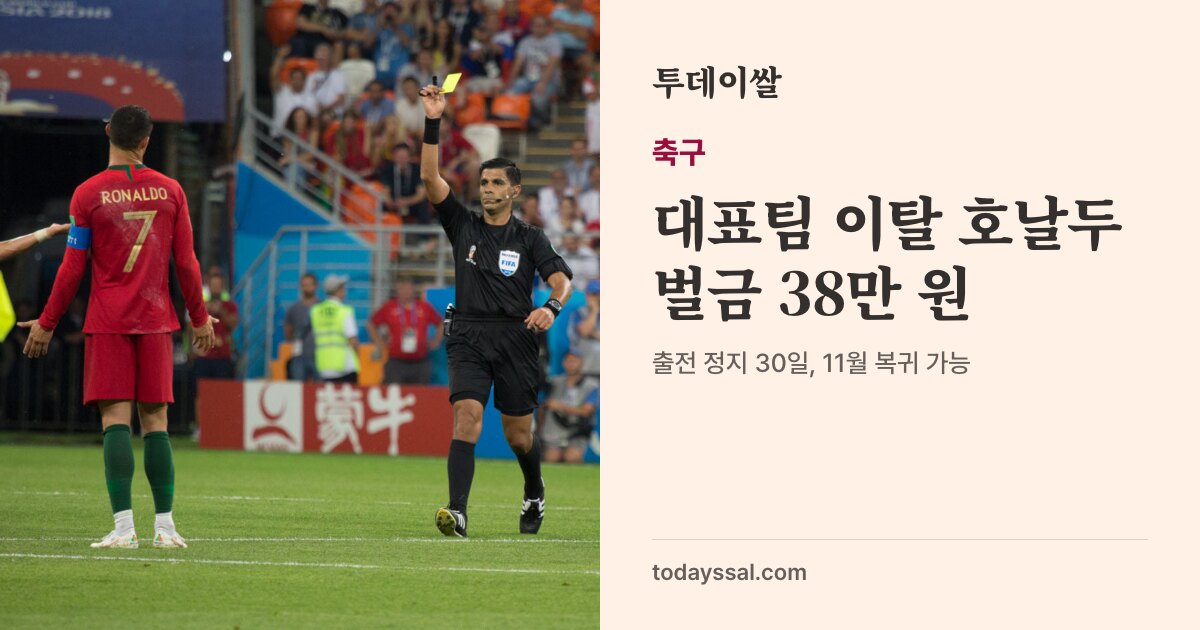 포르투갈 대표팀 단체 사진. 축구, 대표팀 이탈 호날두 벌금 38만 원. 10월 20일 포르투갈축구협회 징계 발표