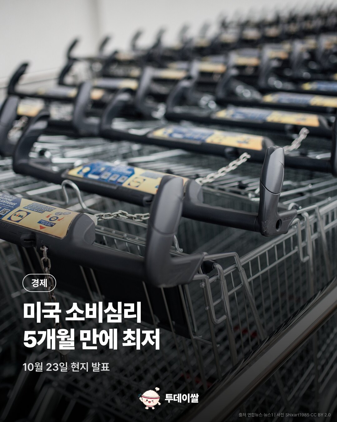 쇼핑 카트 사진과 미국 소비심리 5개월 만에 최저 발표