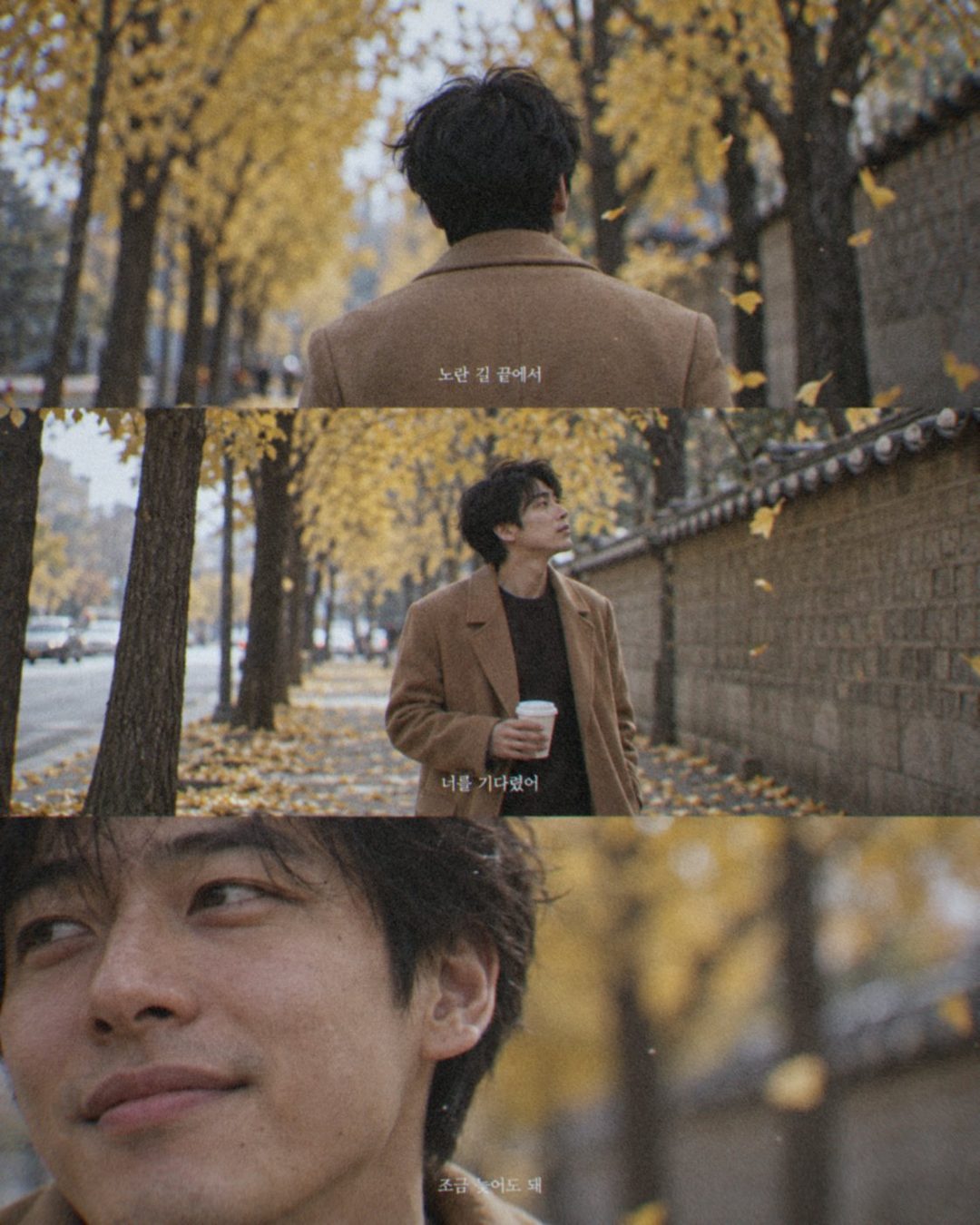 은행나무 길을 걷는 카멜 코트 남성의 3분할 필름 화보